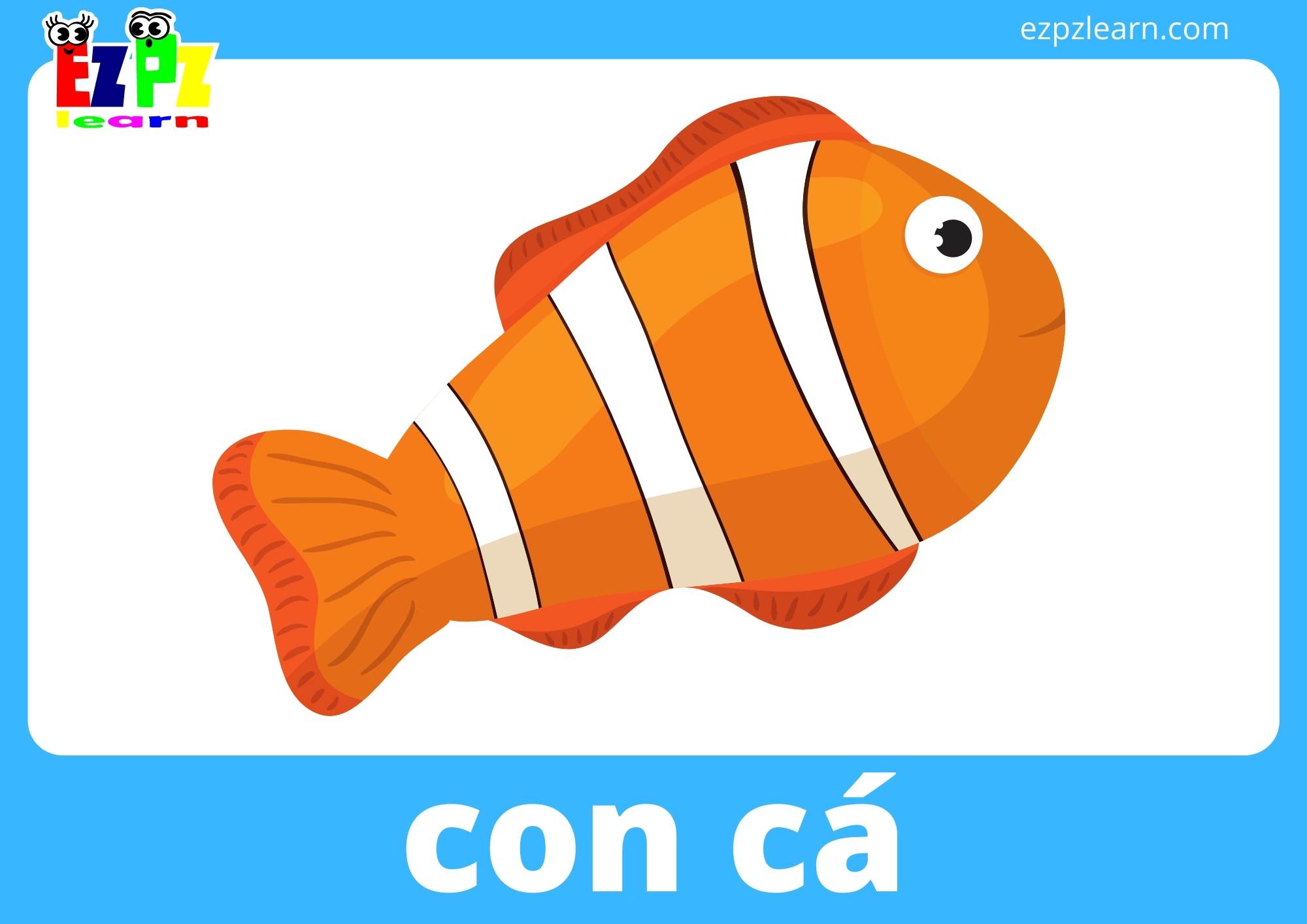 con cá